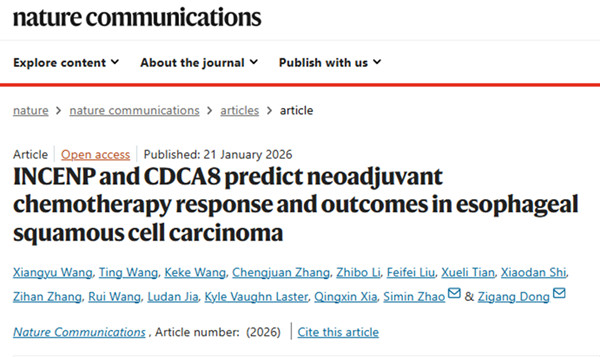 院士团队！郑州大学，再发Nature子刊！